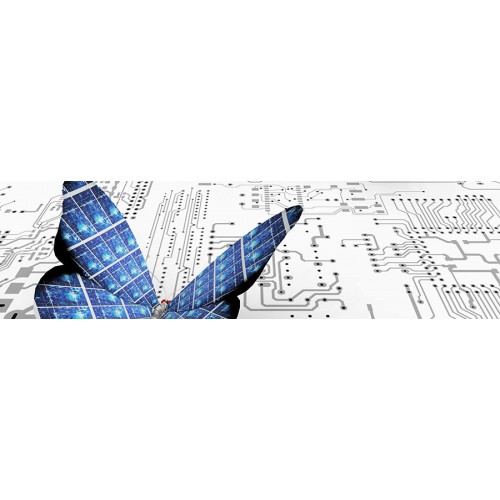 ISO/IEC 20000 Information Technology Service Management Systems