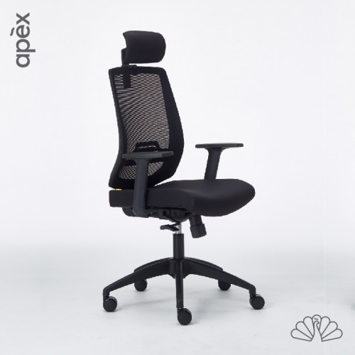 APEX-Office DANG Ergonomic Mesh Office Chair (Highback, Lowback, Visitor)
