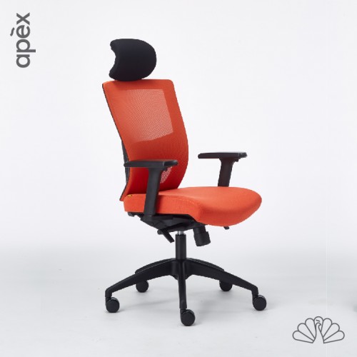 APEX-Office DELCO Ergonomic Mesh Office Chair (Highback, Lowback, Visitor)