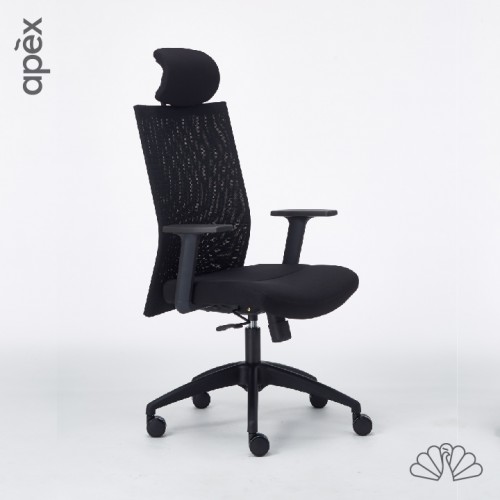 APEX-Office EASY Ergonomic Mesh Office Chair (Highback, Lowback, Visitor)