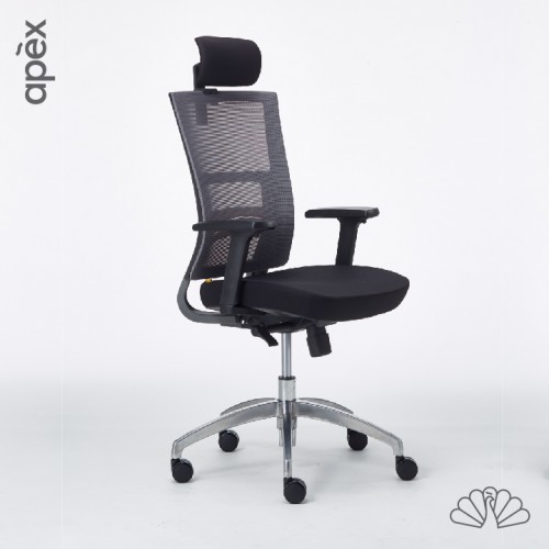 APEX-Office THE ONE Ergonomic Mesh Office Chair (Highback, Lowback)