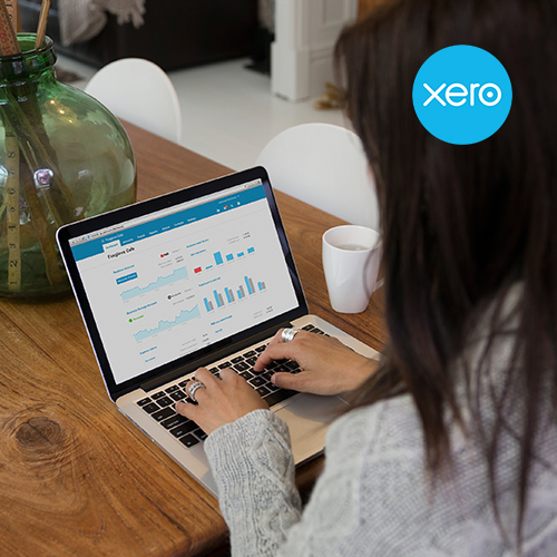 Xero Setup + Training (Switch)
