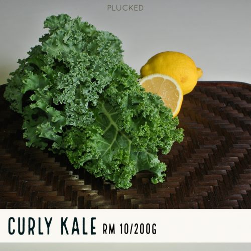 PLUCKED Curly Kale  Organic