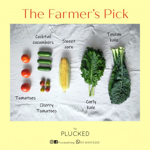 PLUCKED The Farmer's Pick  Organic