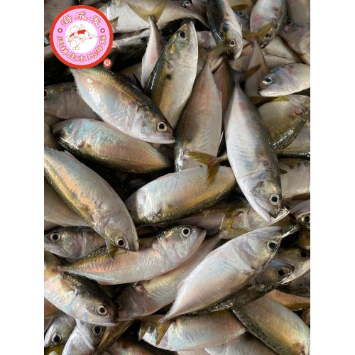Kembung 甘丰 1kg+-/pack