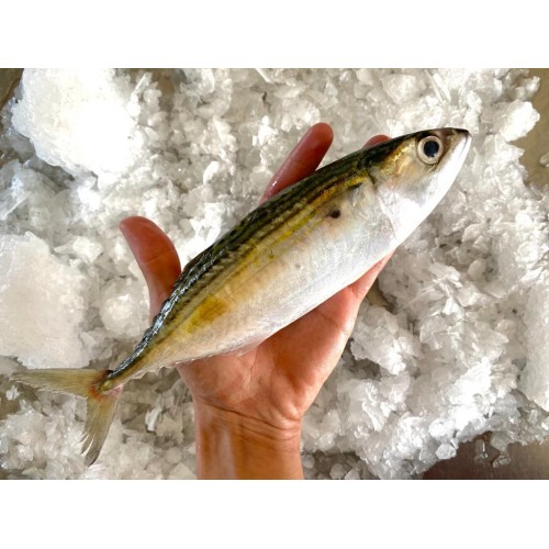 Mabung 马丰 RM19/kg