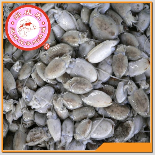 Sotong Katak Kecil 小木仔 450g+/-